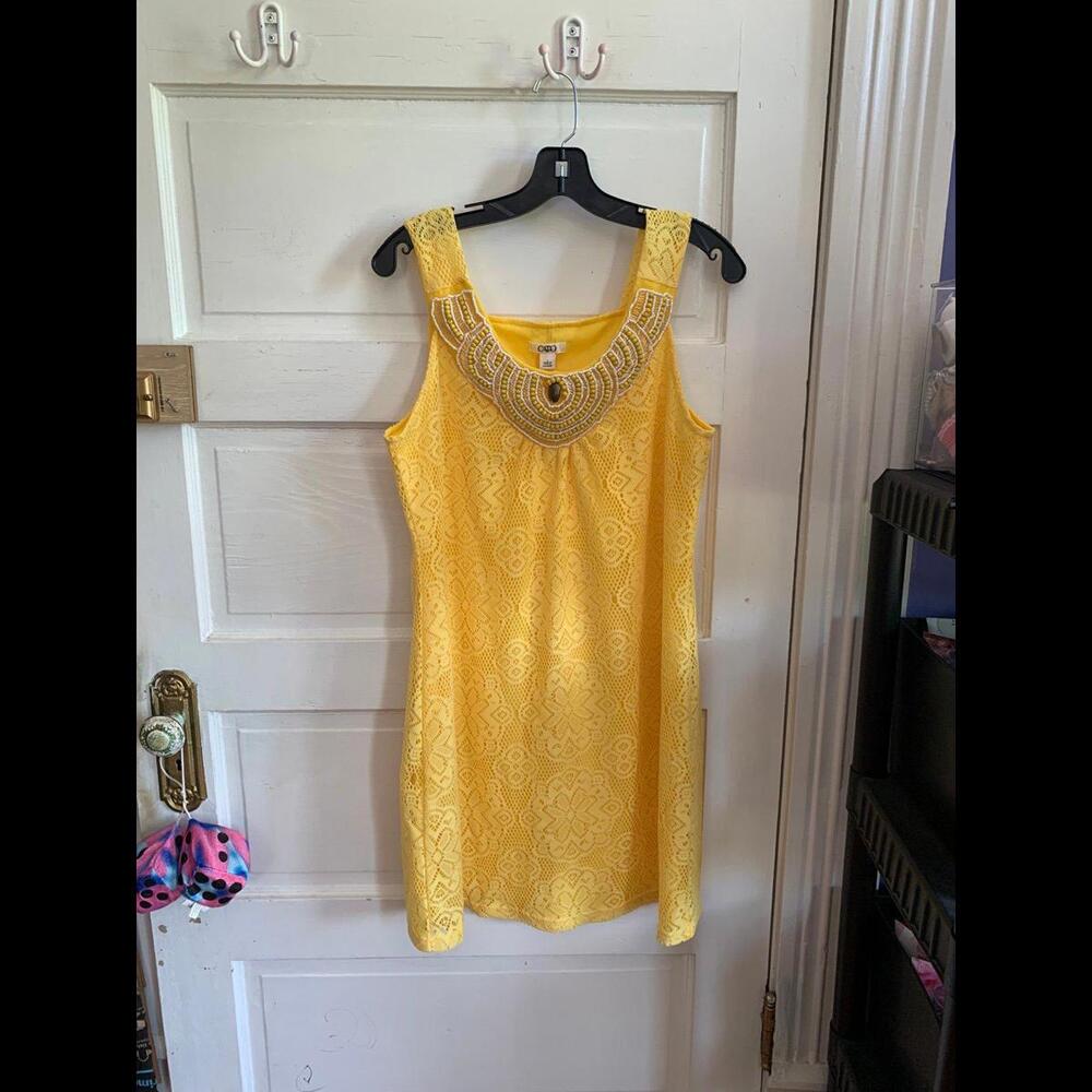 Cato Dress Size Large